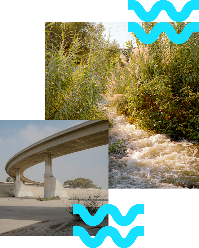 Collage of two images on top of a white frame: water sitting underneath a bridge in a concrete section of the LA River and water flowing through lush greenery. Image’s design has light blue wavy lines.