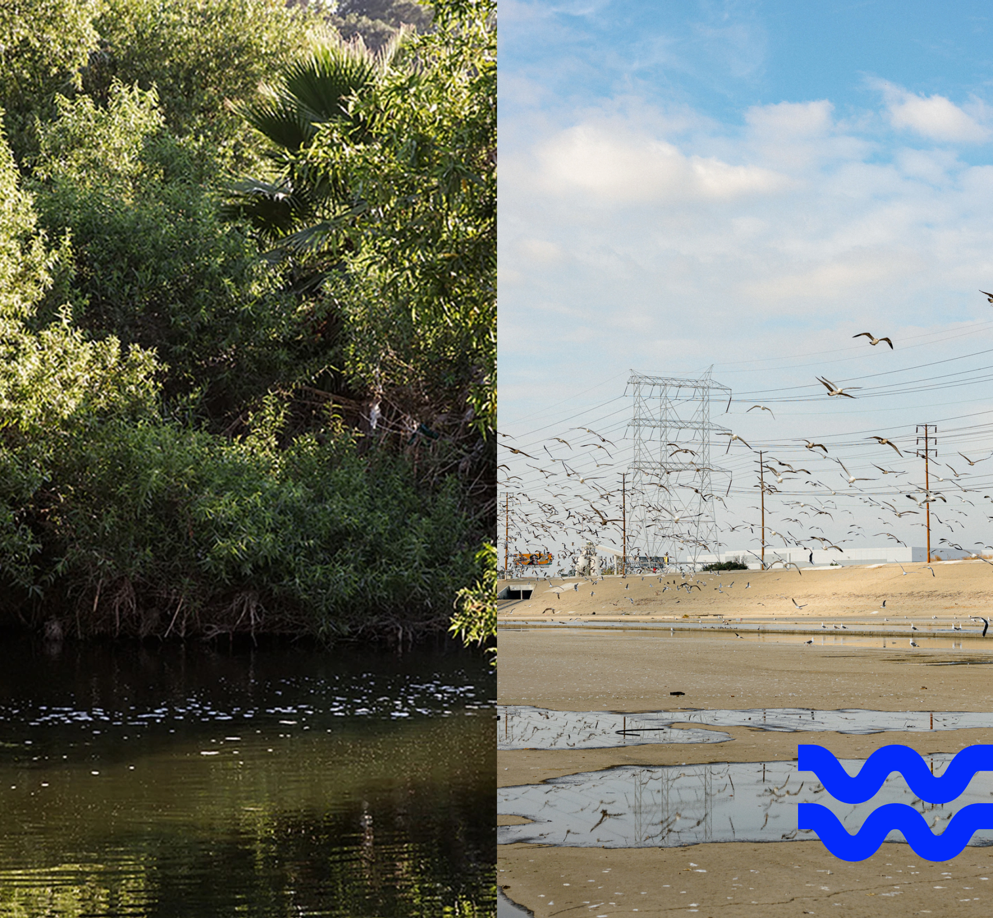 Collage of two images: water sitting in a concrete section of the LA River and water flowing through lush greenery. Image’s design has light blue wavy lines.